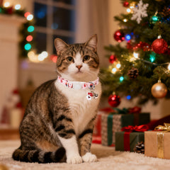 UP URARA PUP collar con campana de seguridad, ayuda a localizar a tu gato