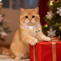 Collar UP URARA PUP con campana, ayuda a localizar al gato.