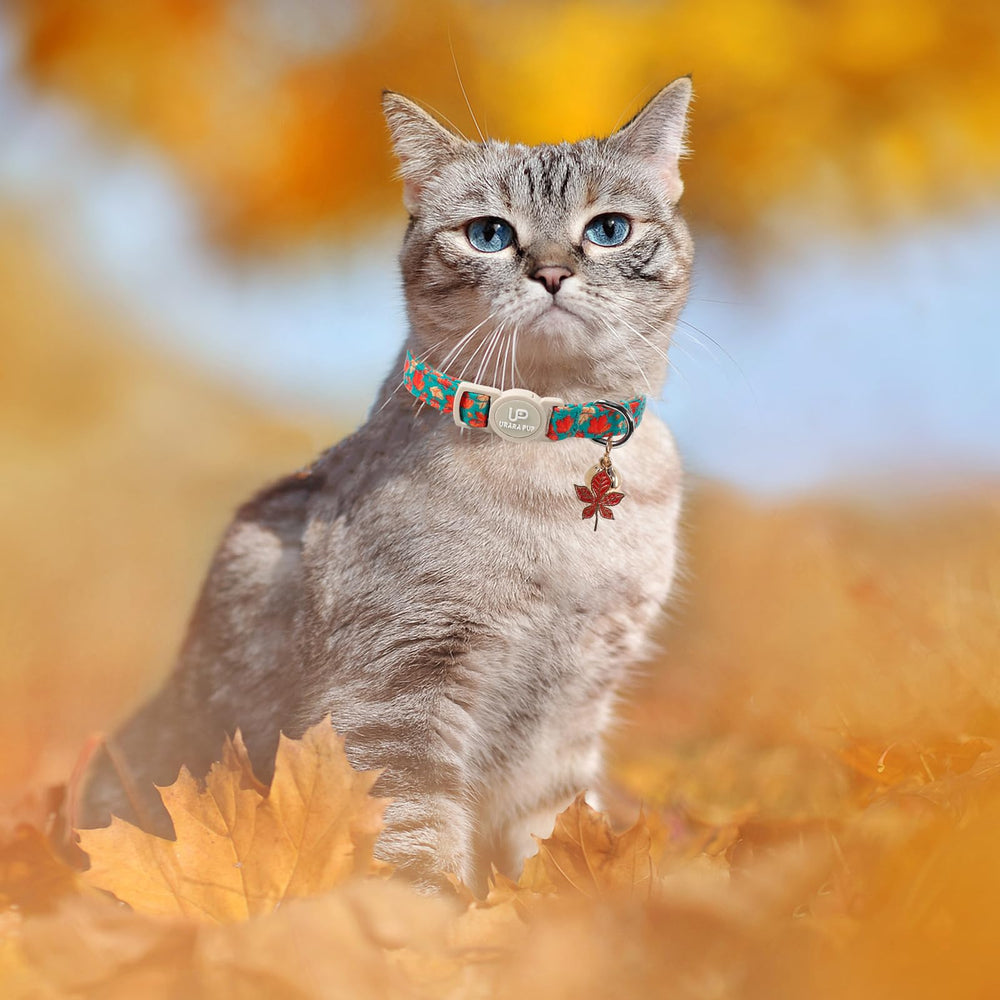 UP URARA PUP collar campana: añade señal sonora para localizar al gato.