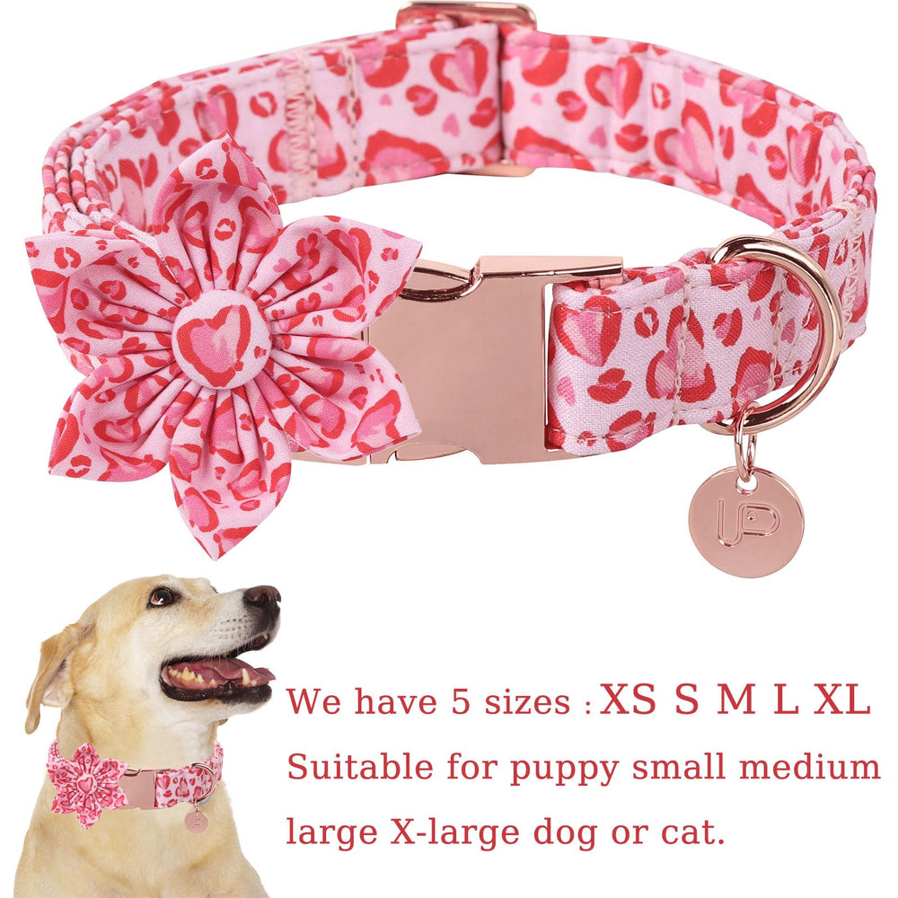 UP URARA PUP collar con cierre metálico, seguro y duradero para mascotas activas.