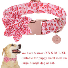 UP URARA PUP collar con cierre metálico, seguro y duradero para mascotas activas.