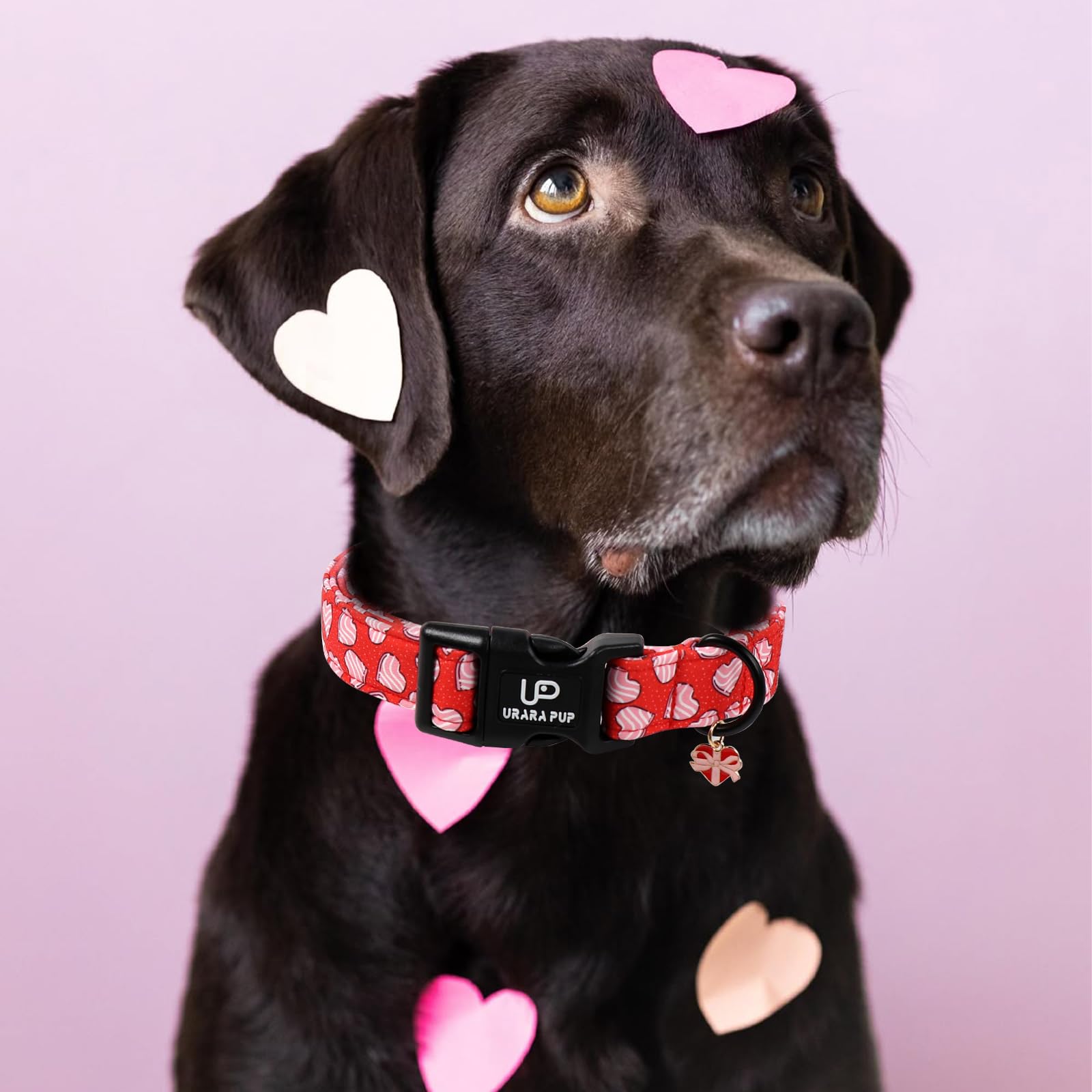 UP URARA PUP ajuste cómodo para un ajuste perfecto en perros de todas las tallas.