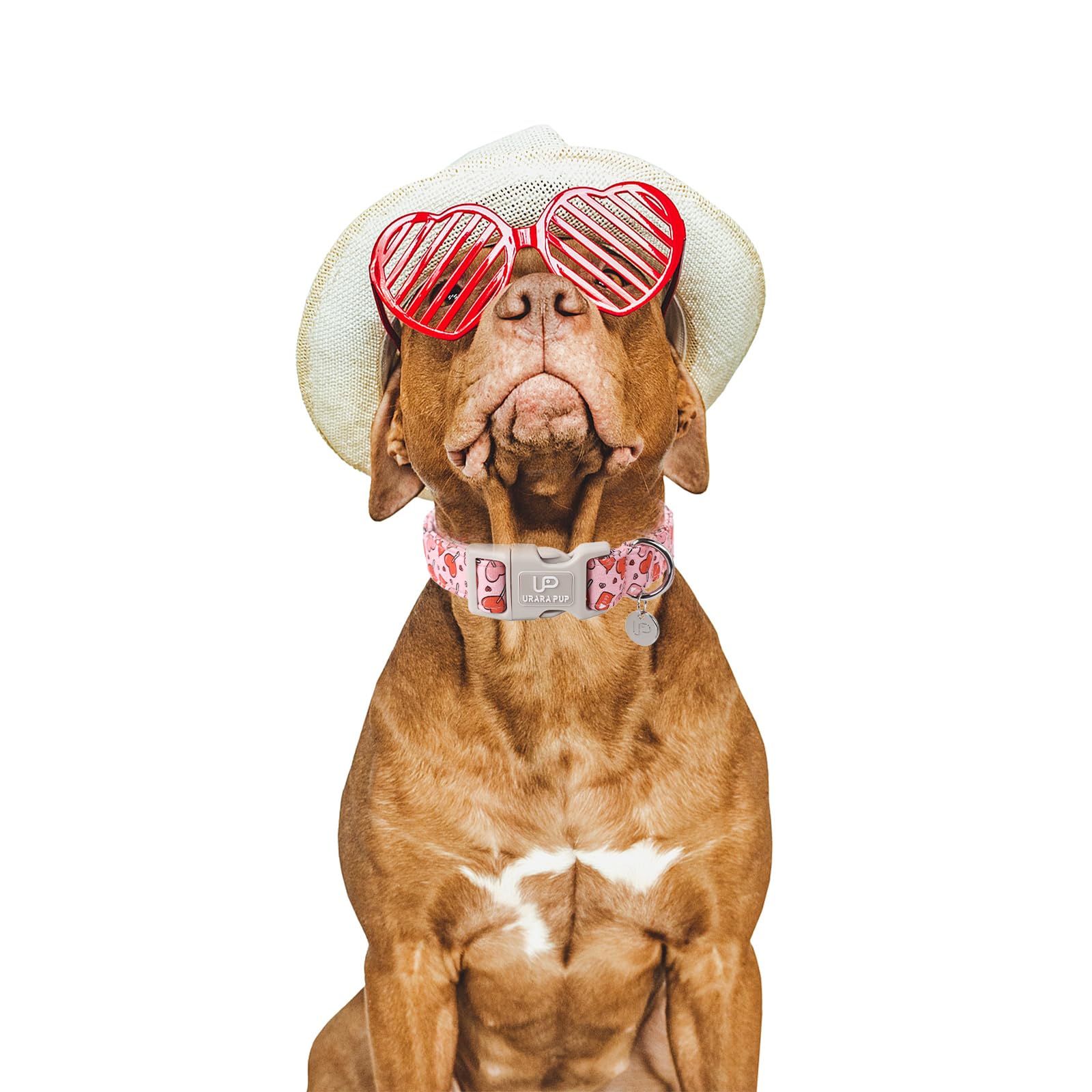 UP URARA PUP collar con cierre rápido: pon y quita fácilmente.