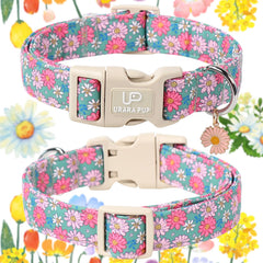 Collar UP URARA PUP con colgante y aro D para sujeción elegante