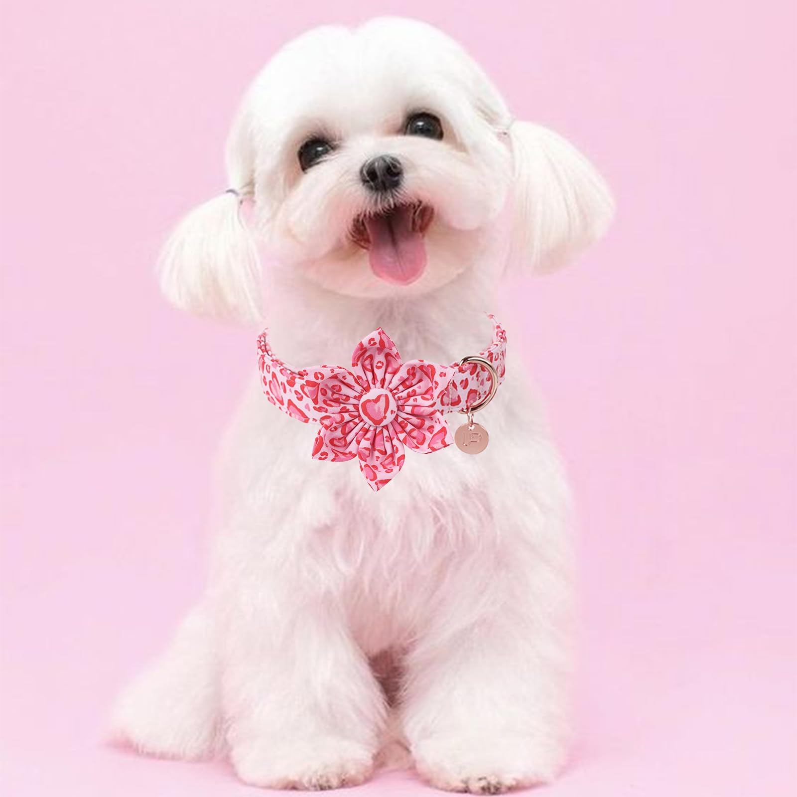 UP URARA PUP collar con detalle corazón, realza la dulzura y la apariencia diaria.