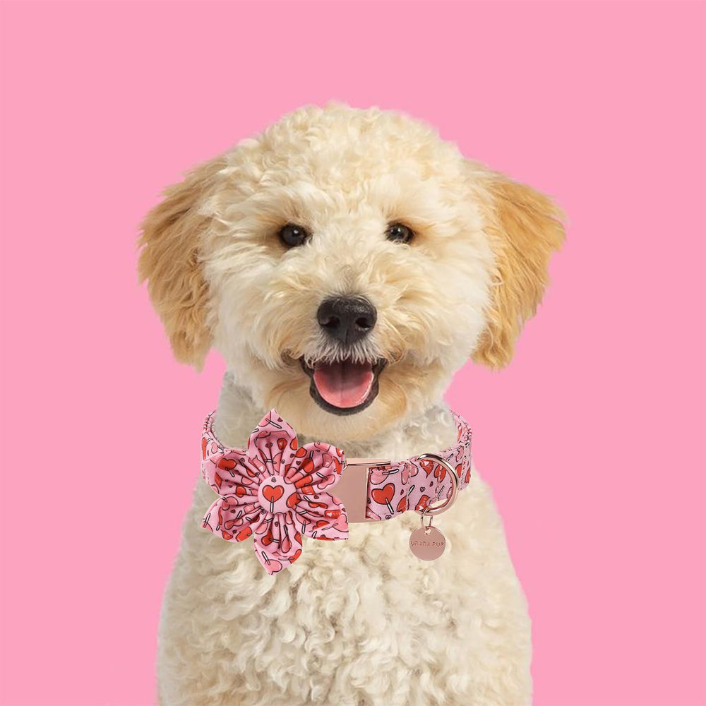 UP URARA PUP collar con corazon rosa, realza el estilo diario.