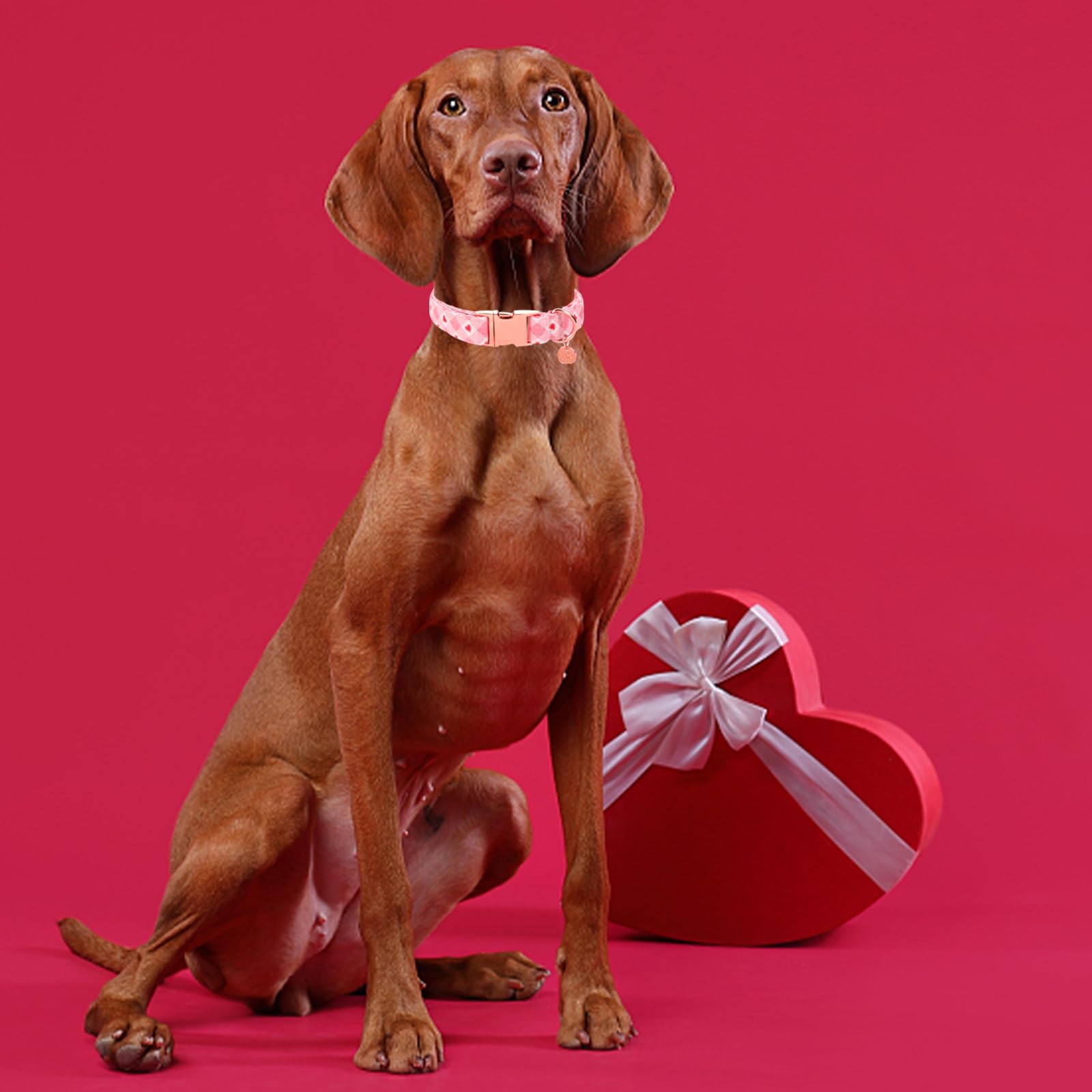 Diseño con corazones UP URARA PUP para ocasiones especiales.