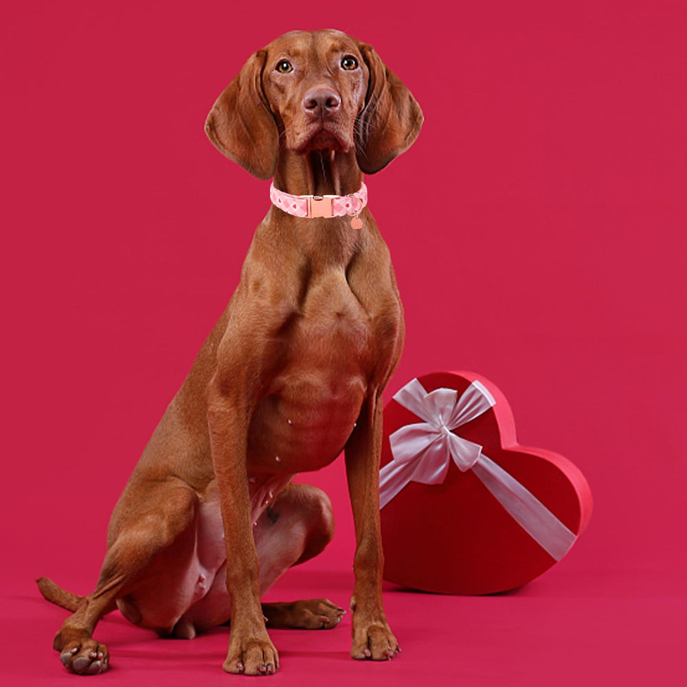 Diseño con corazones UP URARA PUP para ocasiones especiales.