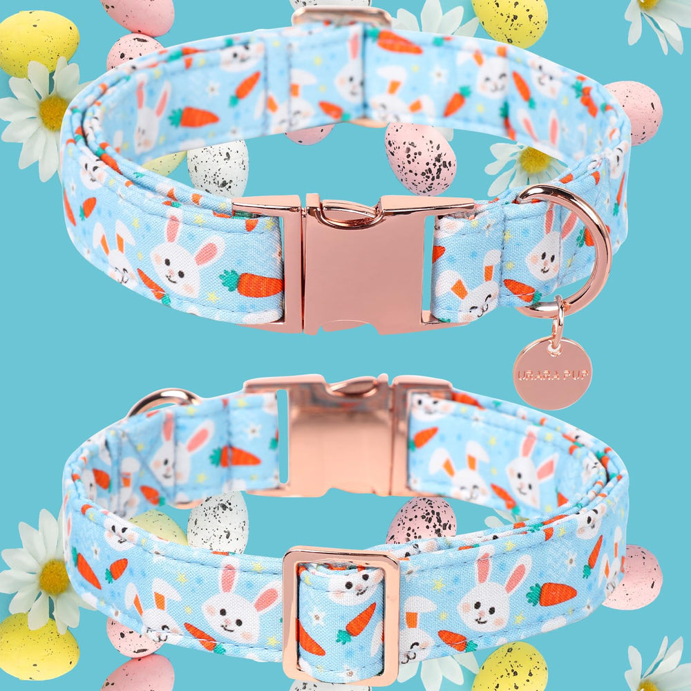 UP URARA PUP collar diseño Zanahoria: diversión y comodidad en el paseo diario