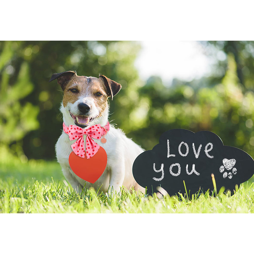 UP URARA PUP diseño con corazón rojo ideal regalo para mascotas.