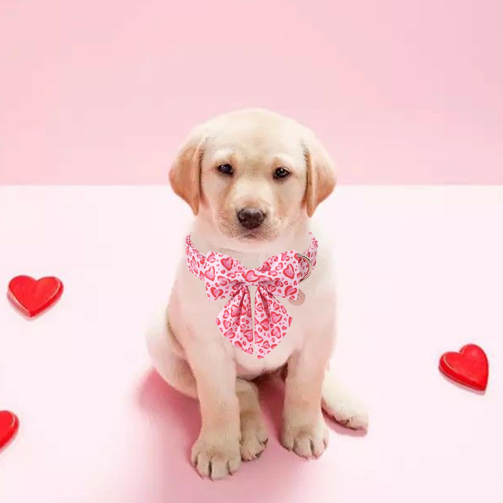 Collar UP URARA PUP diseno-corazon añade encanto para ocasiones especiales