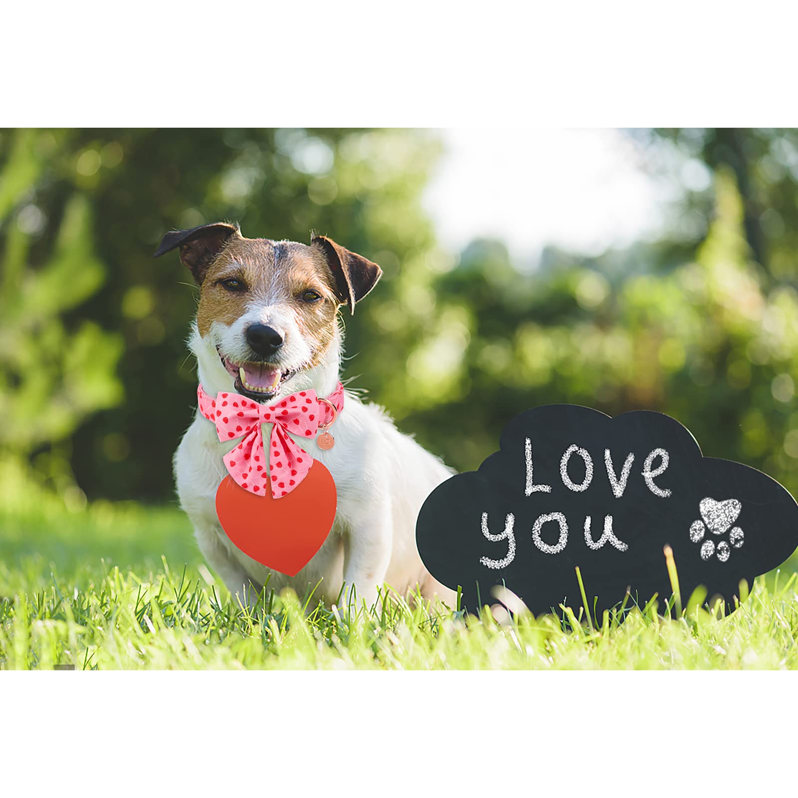 UP URARA PUP collar diseño corazones, regalo perfecto para ocasiones especiales y fiestas.