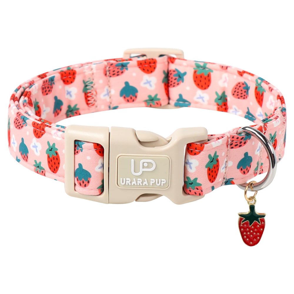 UP URARA PUP collar con diseño de fresa para paseos veraniegos.