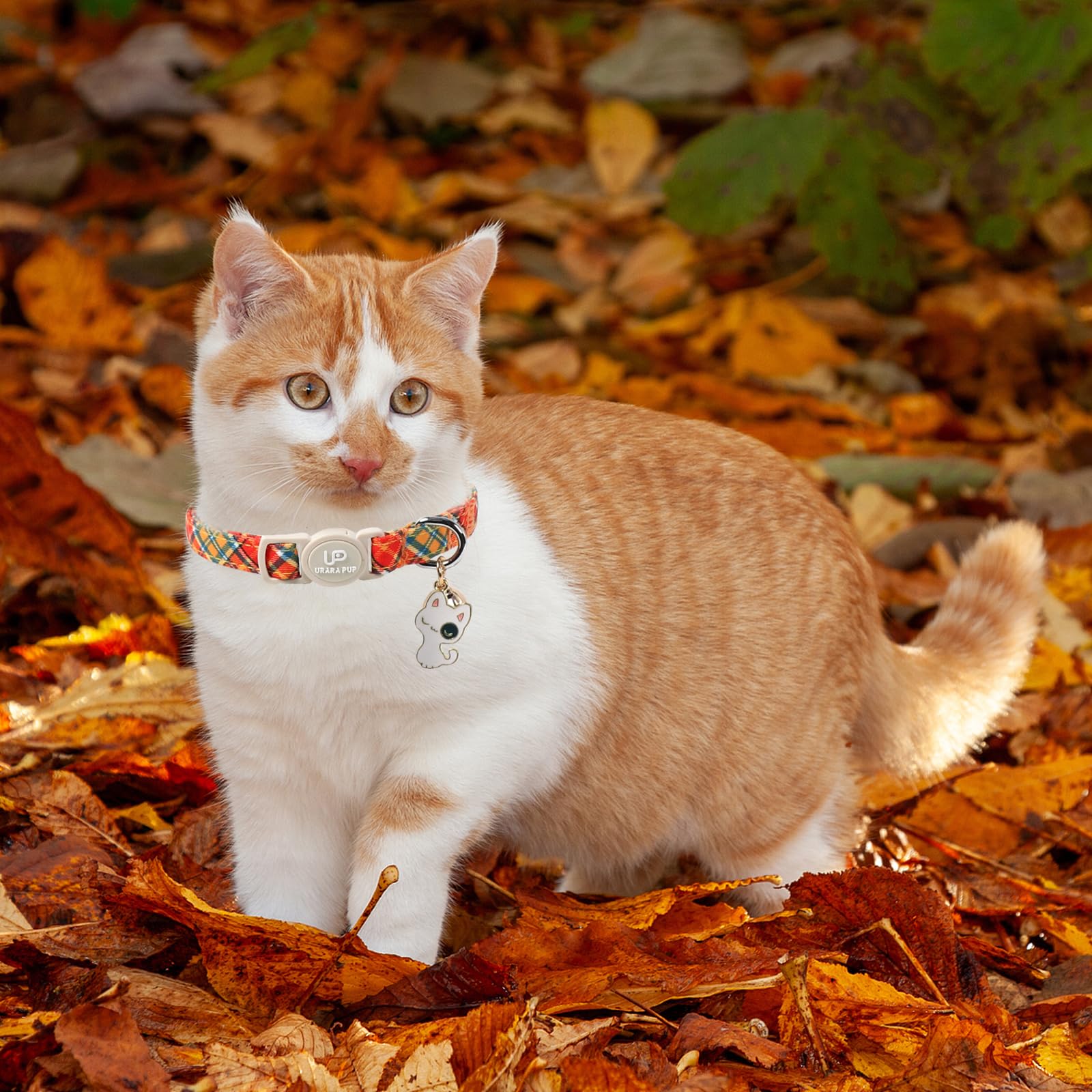 UP URARA PUP collar con campana para localizar a tu gato.