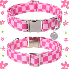 Collar UP URARA PUP con hebilla de metal, duradero para paseos