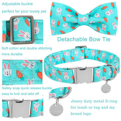 UP URARA PUP collar hebilla metal, duradero para perros pequeños