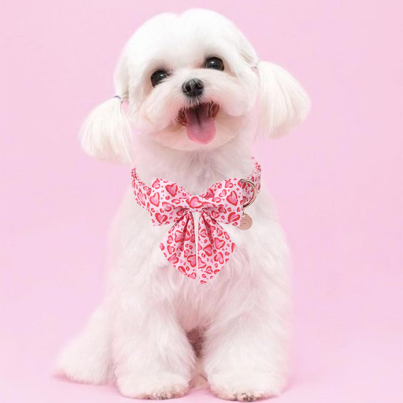 Collar UP URARA PUP con hebilla metalica para ajustes faciles