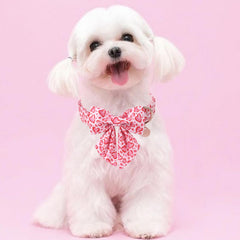 Collar UP URARA PUP con hebilla metalica para ajustes faciles