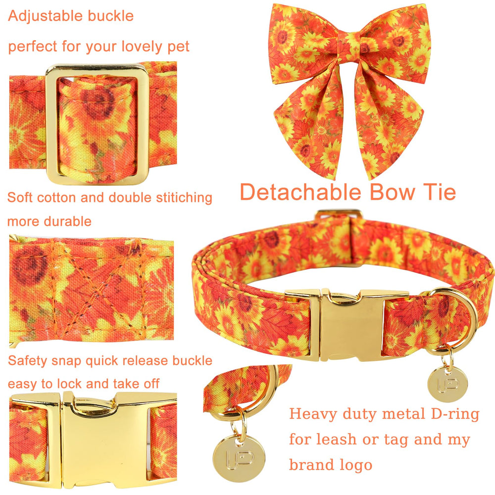 UP URARA PUP collar-lazo-desmontable: cambio de look sencillo.