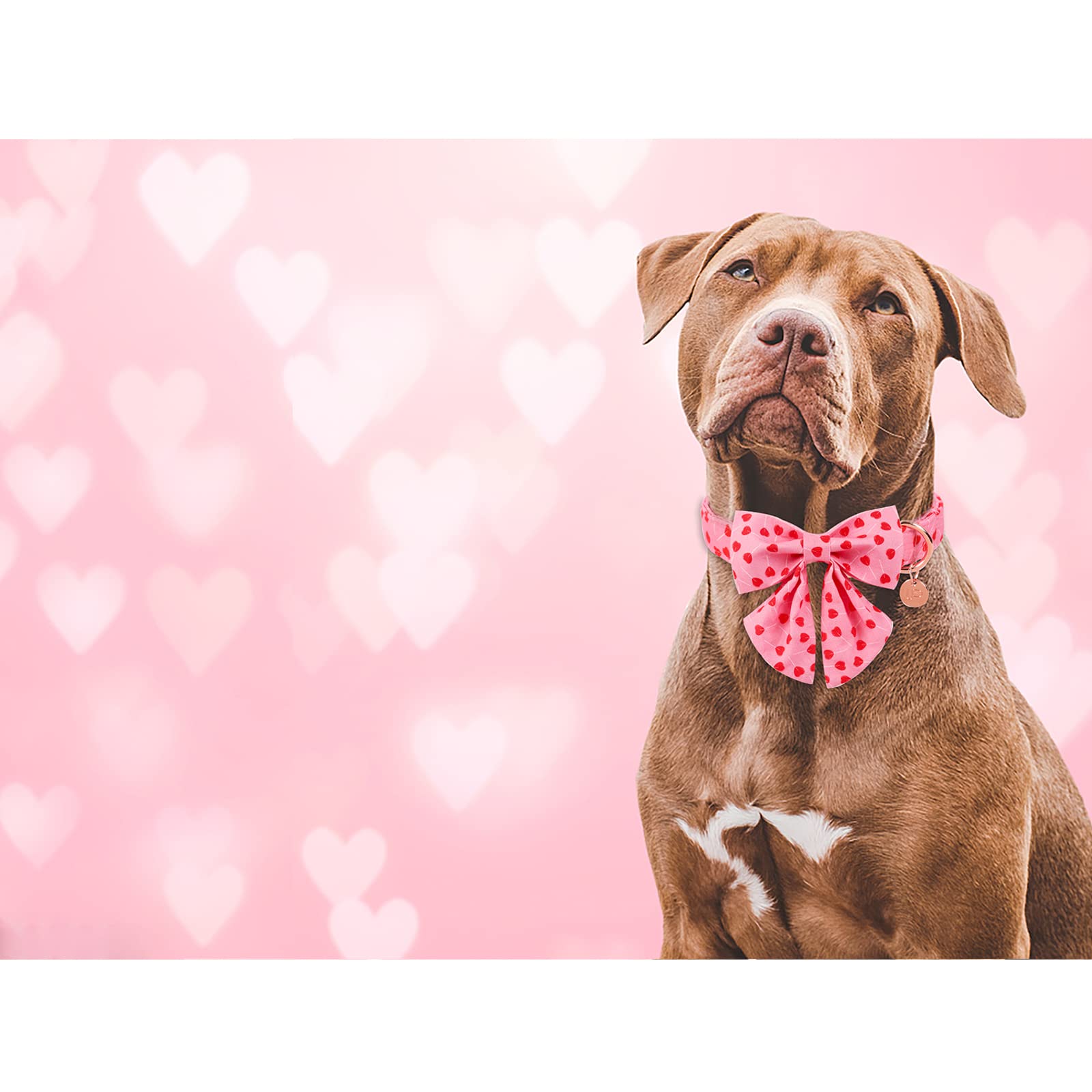 UP URARA PUP lazo desmontable para cambiar de look fácilmente.