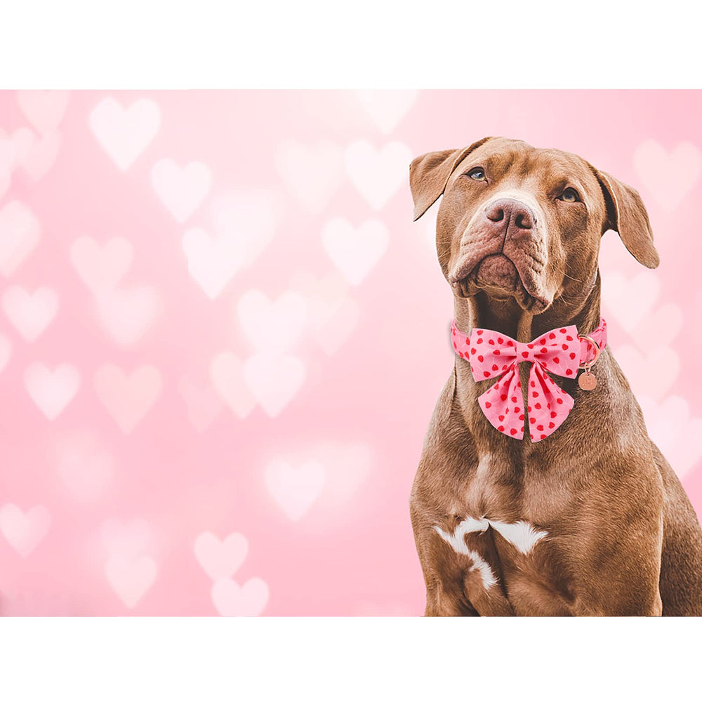 UP URARA PUP lazo desmontable para cambiar de look fácilmente.