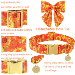 UP URARA PUP collar-lazo-desmontable: cambio de look sencillo.
