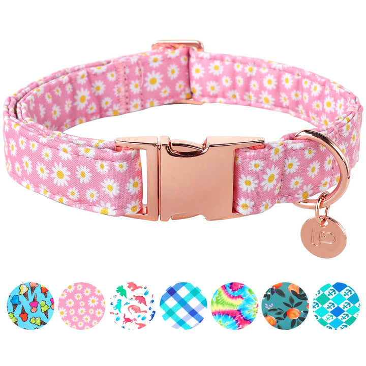 UP URARA PUP collar margarita veraniego para fiestas y paseos