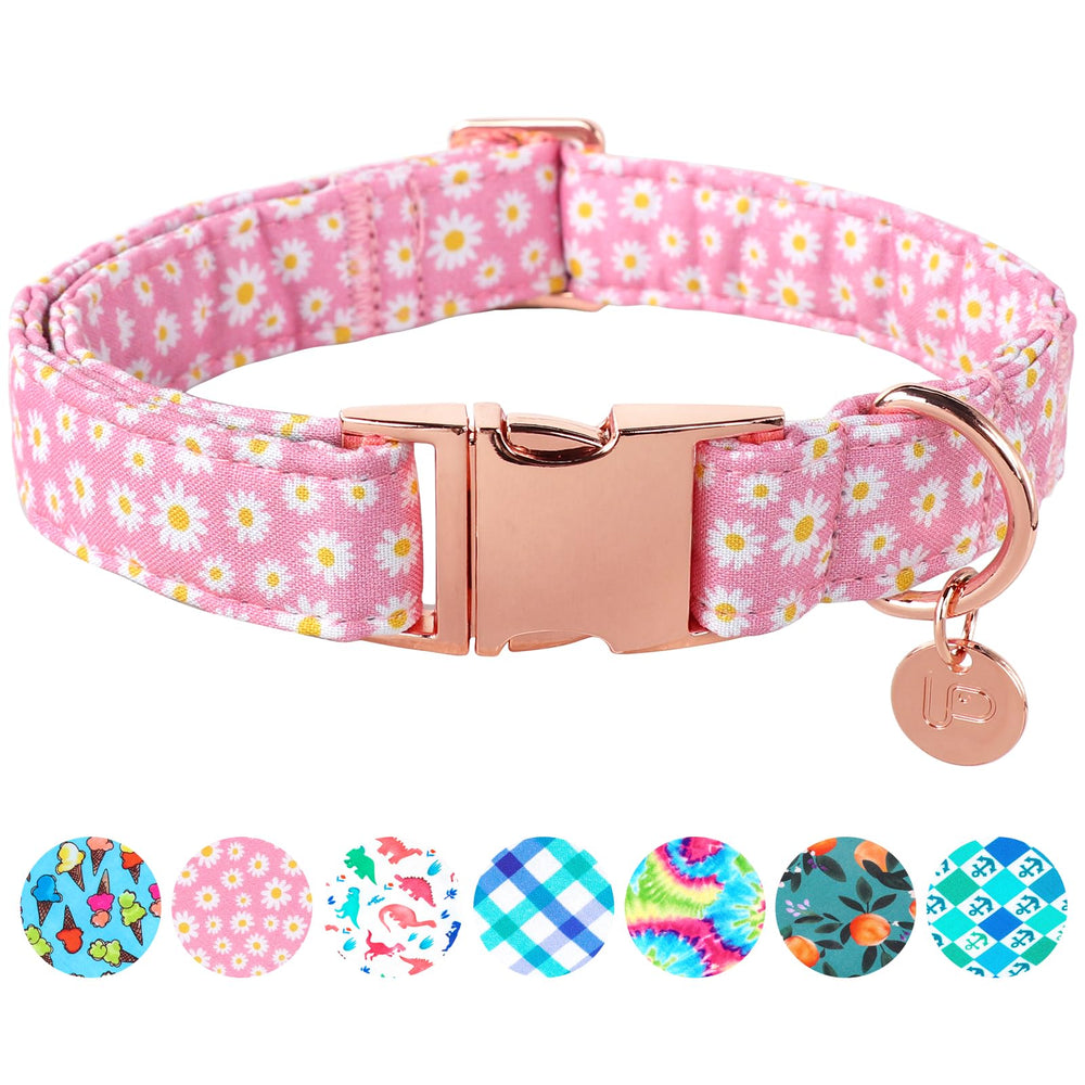 UP URARA PUP collar margarita veraniego para fiestas y paseos