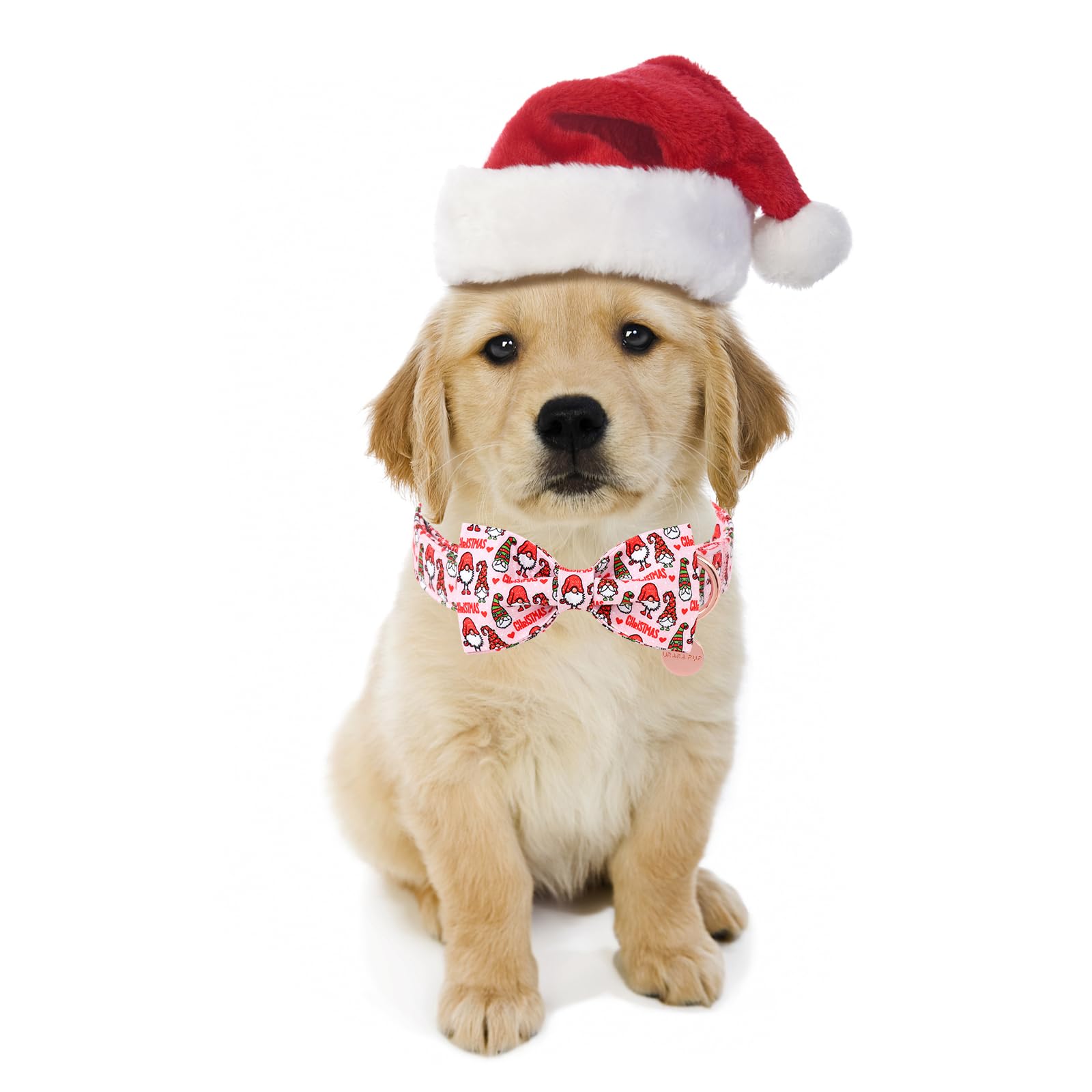 UP URARA PUP collar navideño con anillo-D para etiquetas y correa