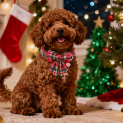 UP URARA PUP collar navideño con cuadros y tejido grueso durable