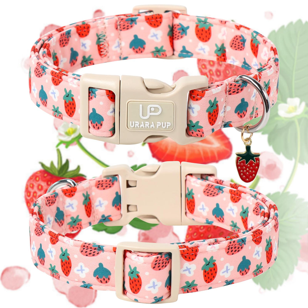 UP URARA PUP collar con colgante de fresa para aventuras al aire libre.