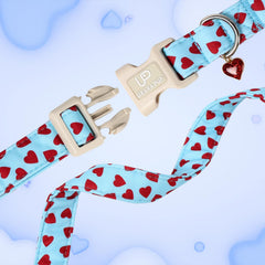 UP URARA PUP collar perro talla ajustable, ideal para razas pequeñas, medianas y grandes.