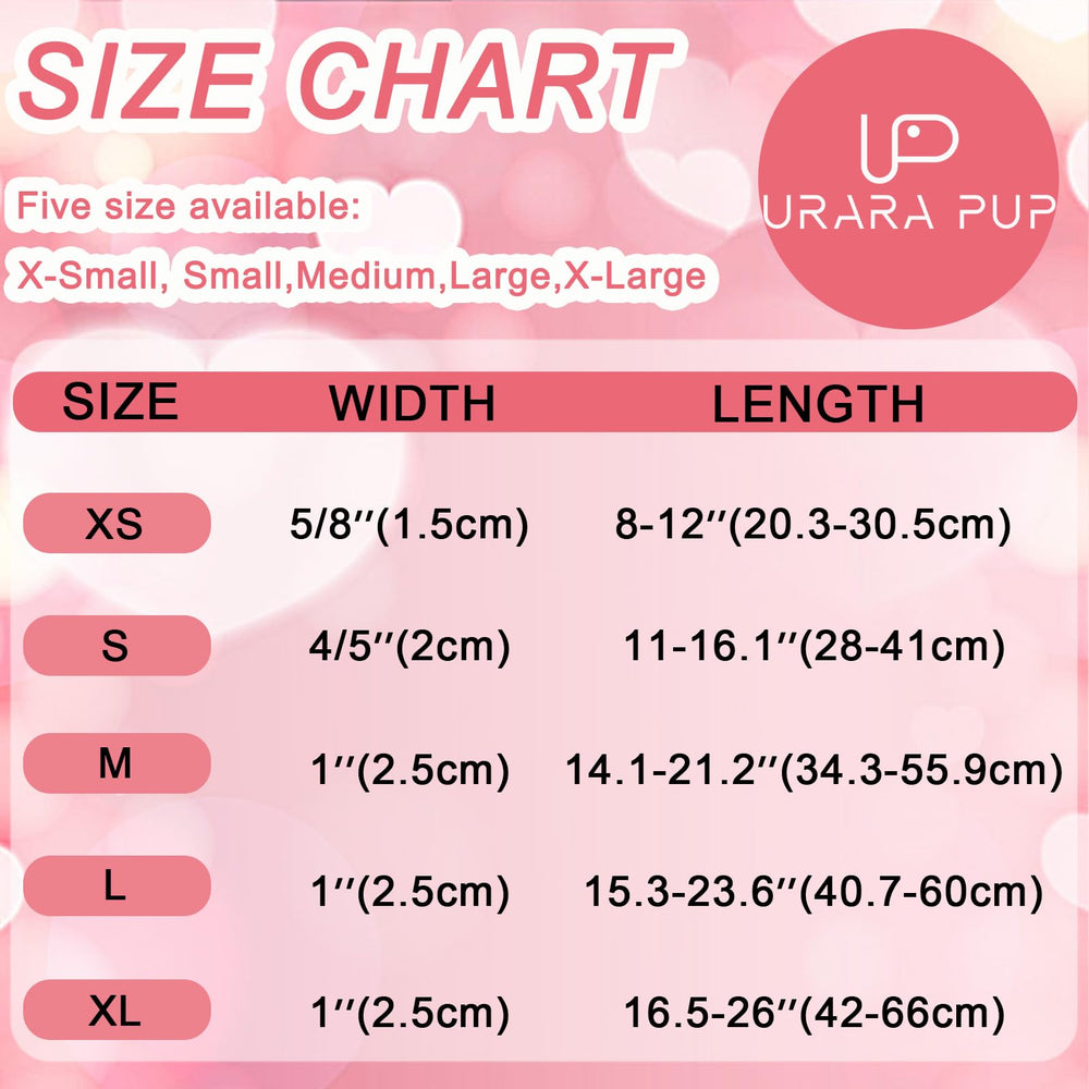 UP URARA PUP collar diario listo para paseos, fotos y bodas caninas.
