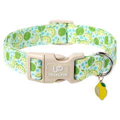 UP URARA PUP collar veraniego verde lima para perros, perfecto para paseos de verano.