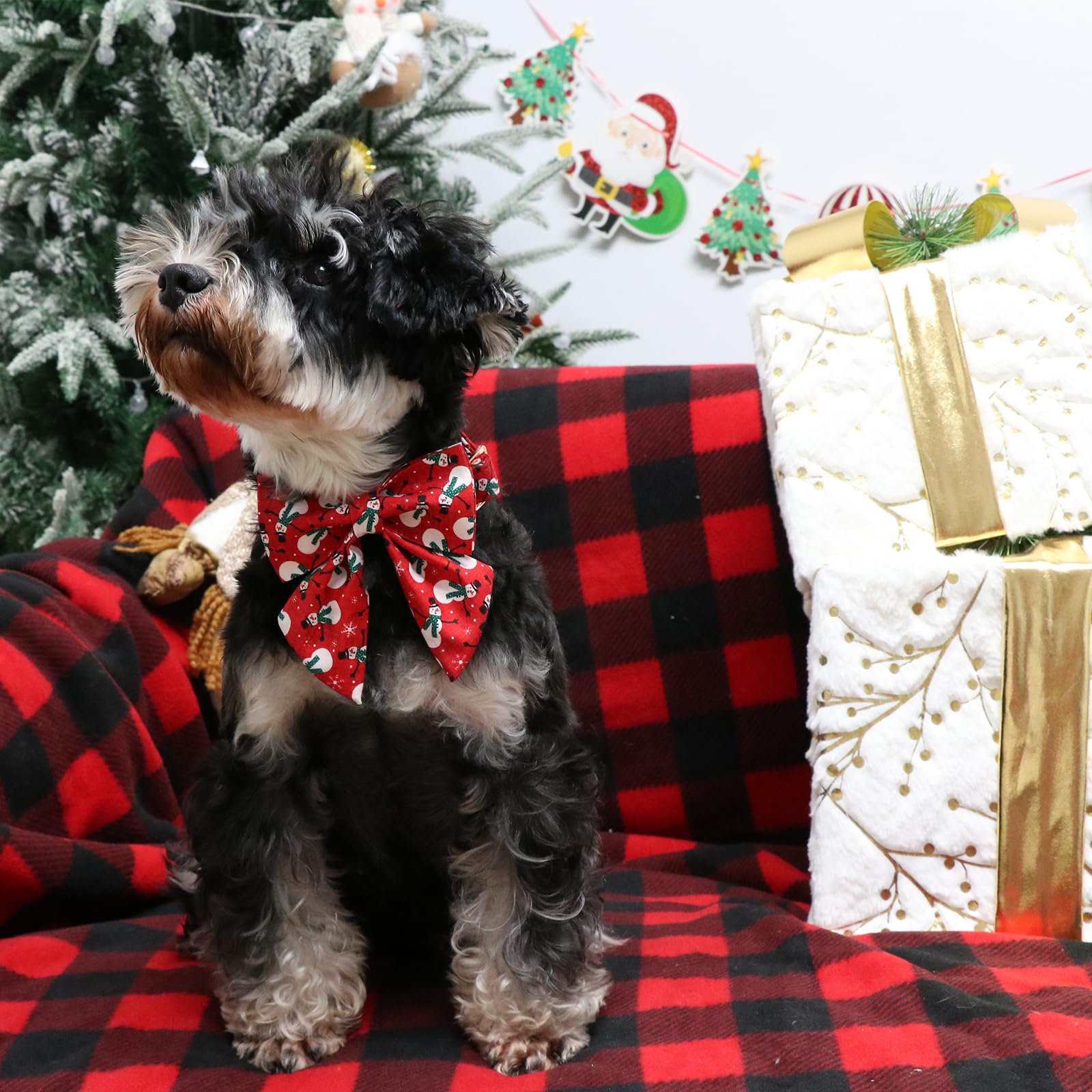 UP URARA PUP diseño navidad collar, perfecto para fotos.