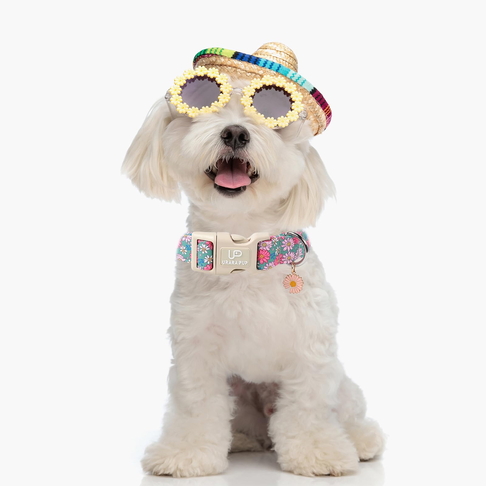Material de algodón suave del collar UP URARA PUP para mayor comodidad