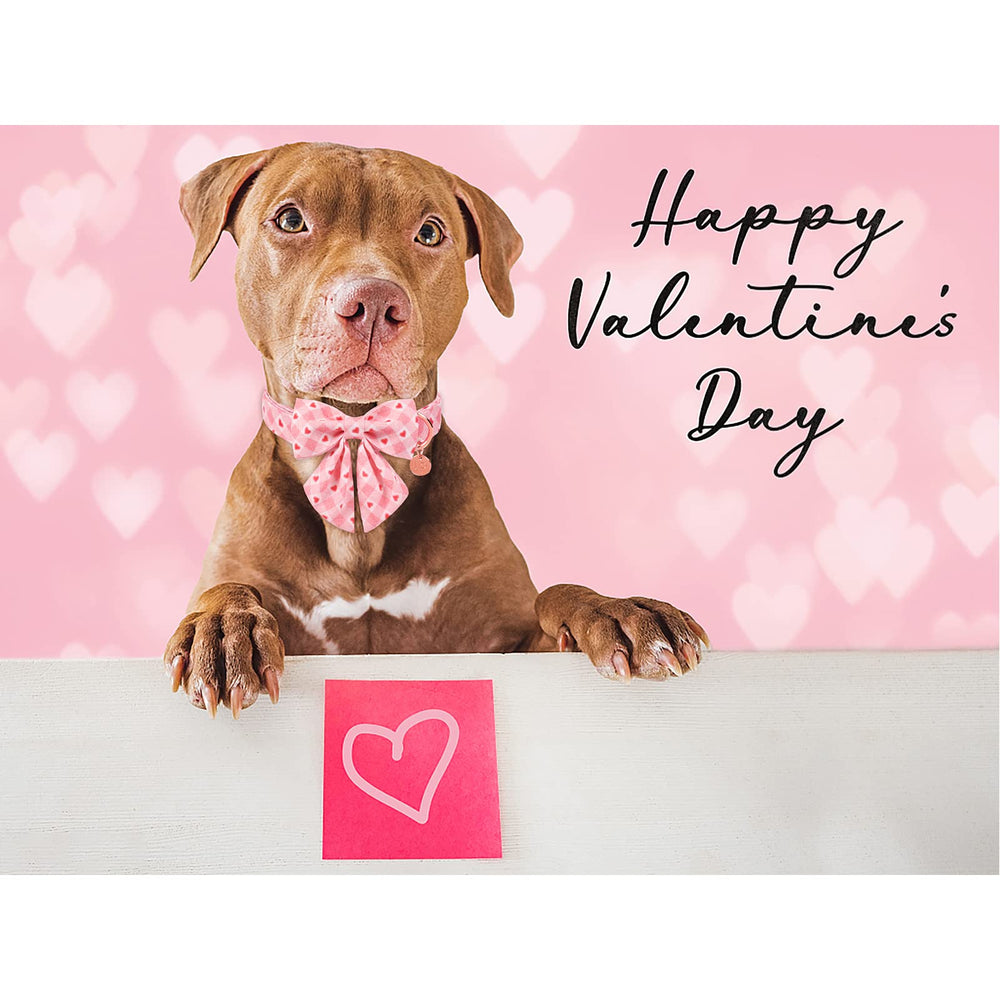 Modelo de collar San Valentín, ideal para fotos y paseos