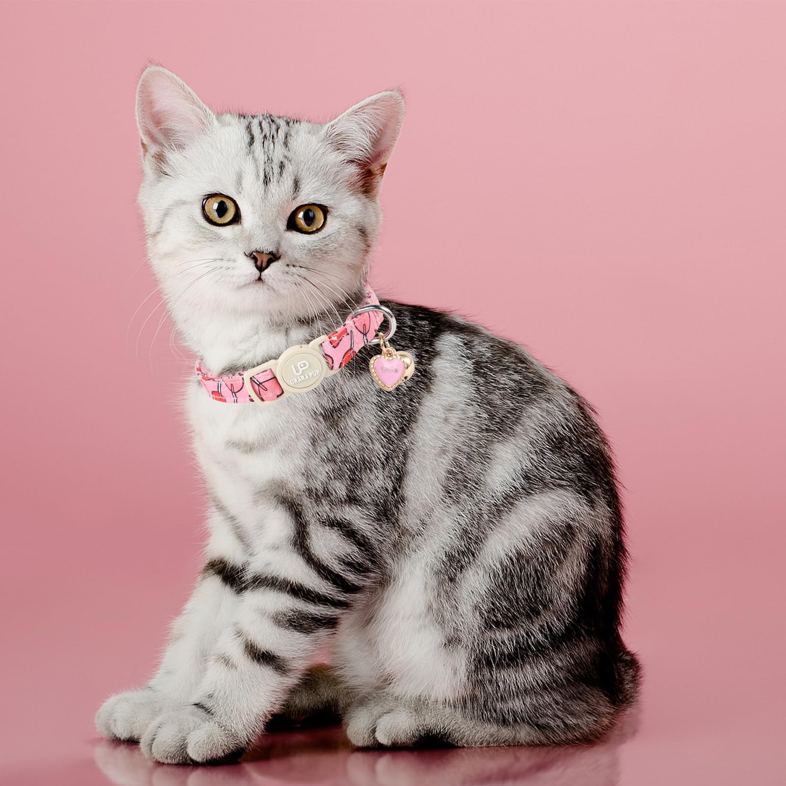 Paquete UP URARA PUP: dos collares con patrones variados para combinar.