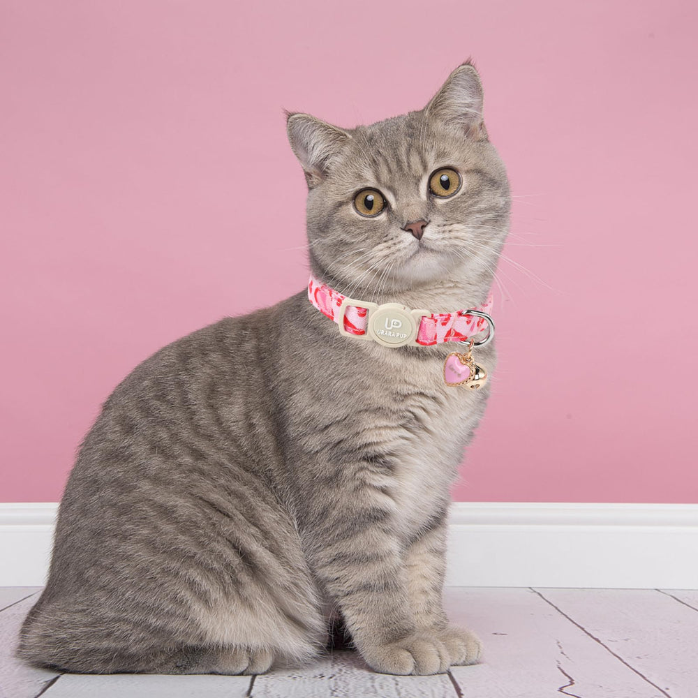 UP URARA PUP paquete de dos collares San Valentín, variedad de estilos