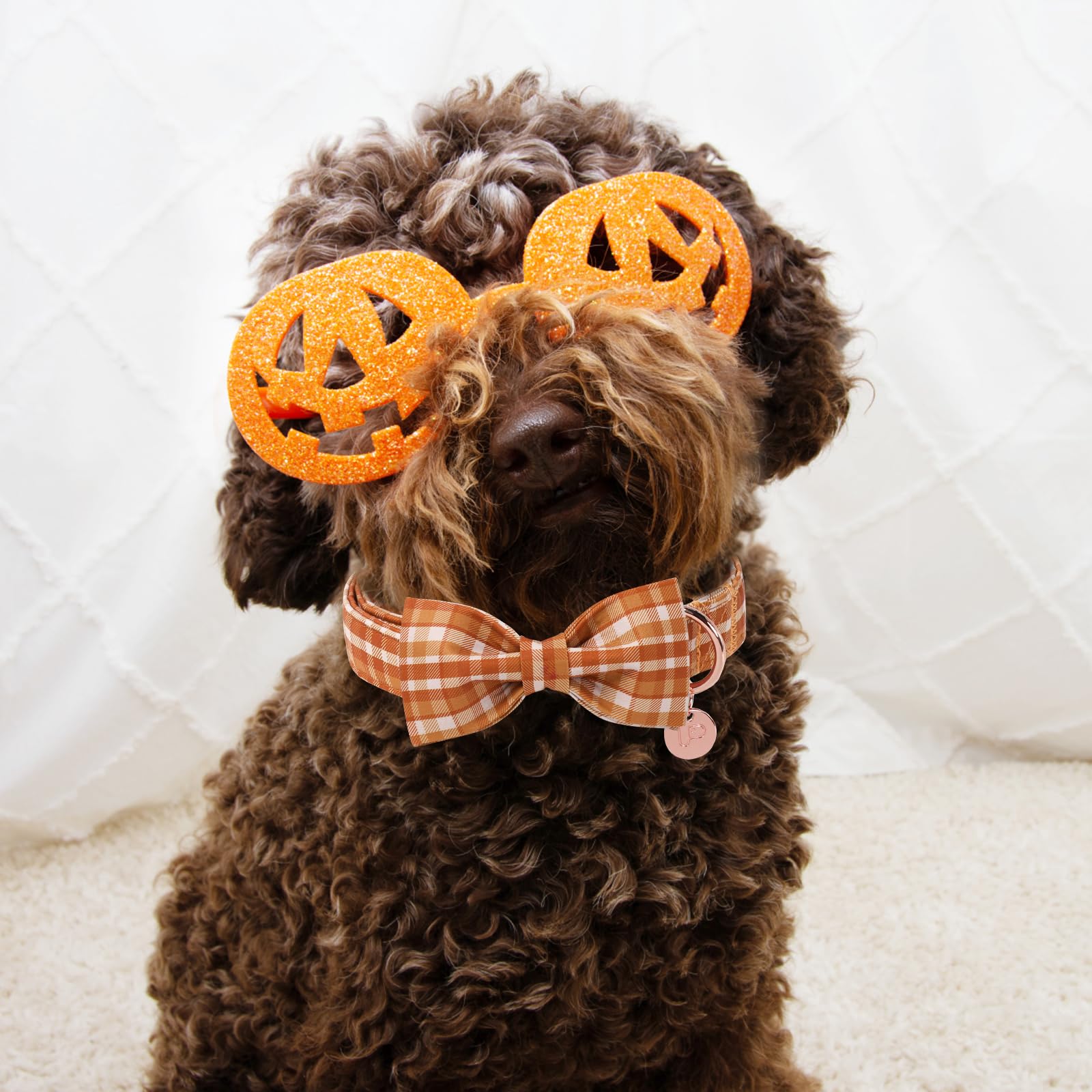 UP URARA PUP patrón de cuadros otoño ideal para regalo