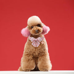 UP URARA PUP perro con collar corazón rosa para días festivos