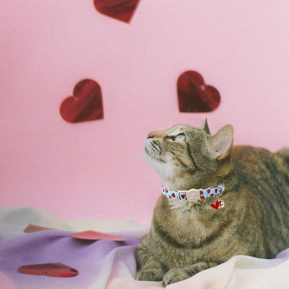 UP URARA PUP talla ajustable de 7,87 a 11,8 pulgadas para gatos pequeños a grandes