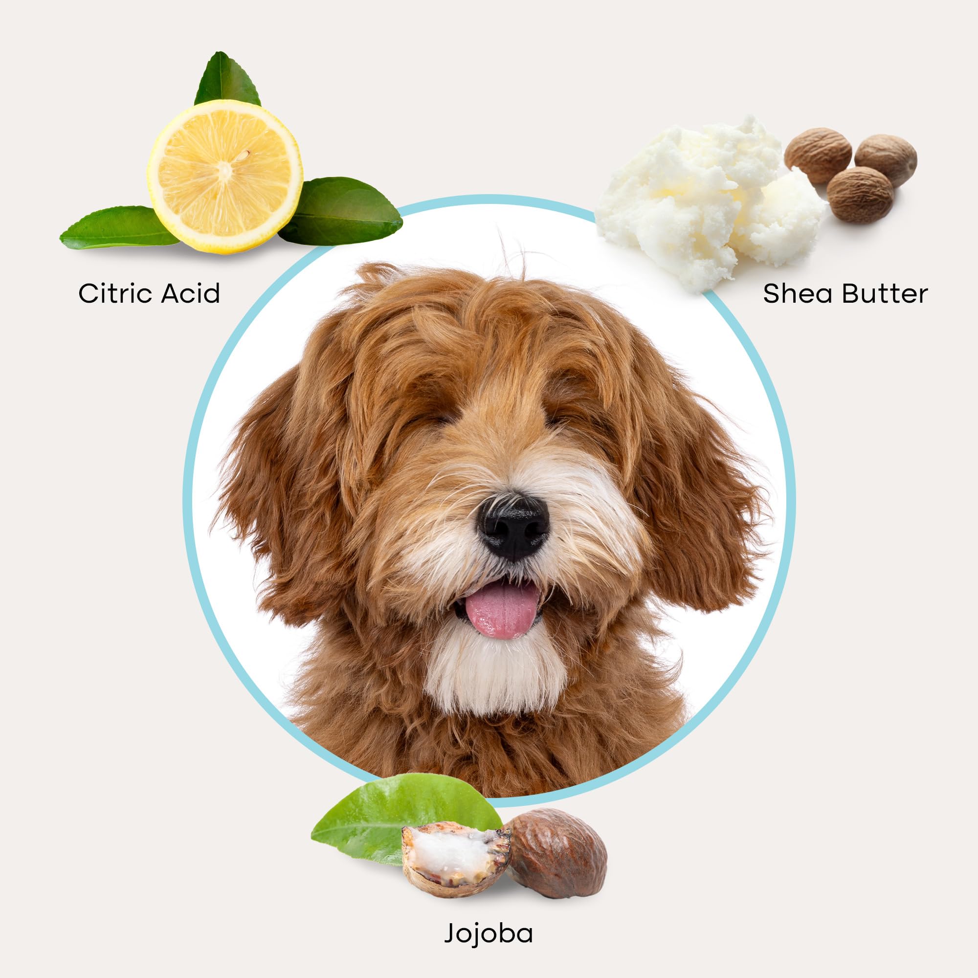 Uproot Clean QuickClean Pro: práctico para viajes con mascotas.