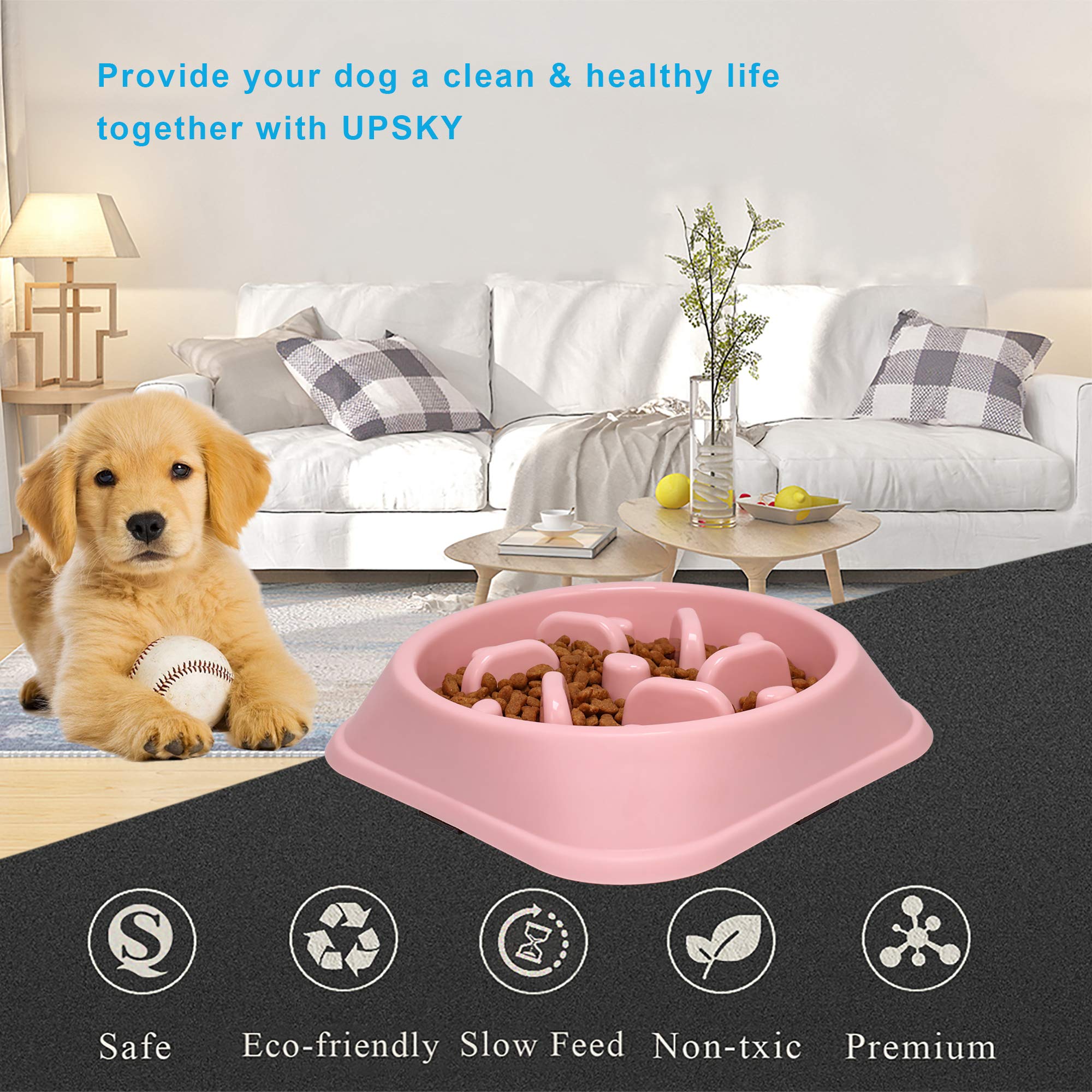 UPSKY tazón lento para perro pequeño sin desorden en la zona de comida