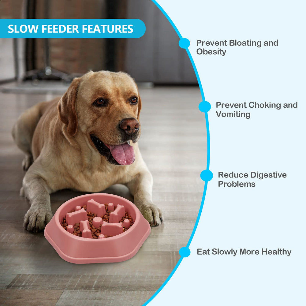 UPSKY comedero lento rosa para perros pequeños y medianos, cómodo y colorido.