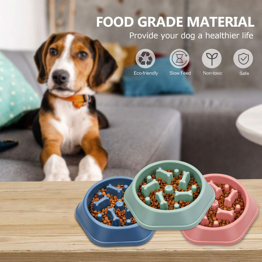 UPSKY material PP duradero, cuenco ligero para perros pequeños y medianos