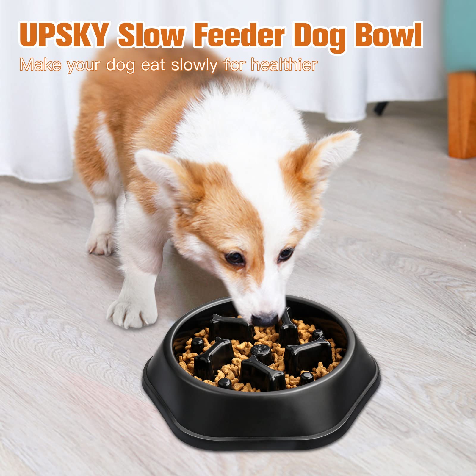 ups sky tamano pequeno mediano negro adecuado para perros pequeños y medianos.