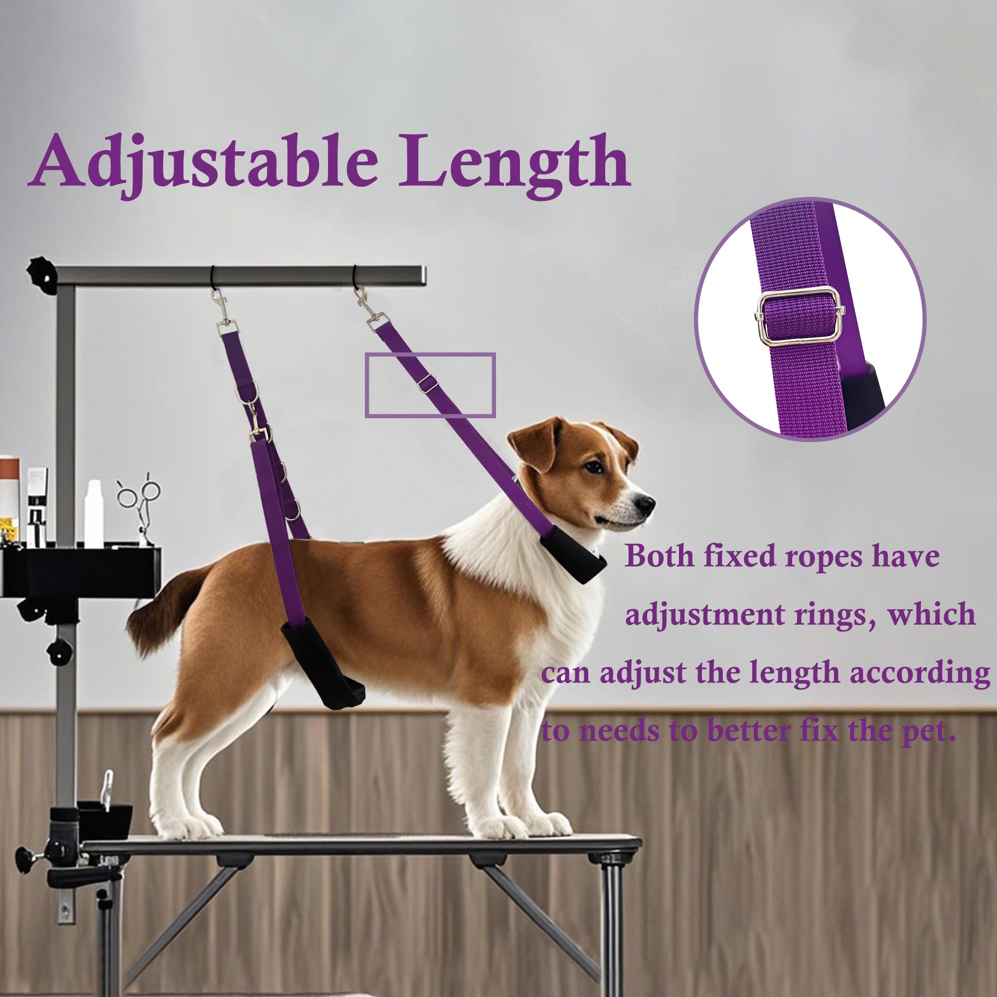 Urciwos cuerda extensible para perro, ajuste rápido según tamaño