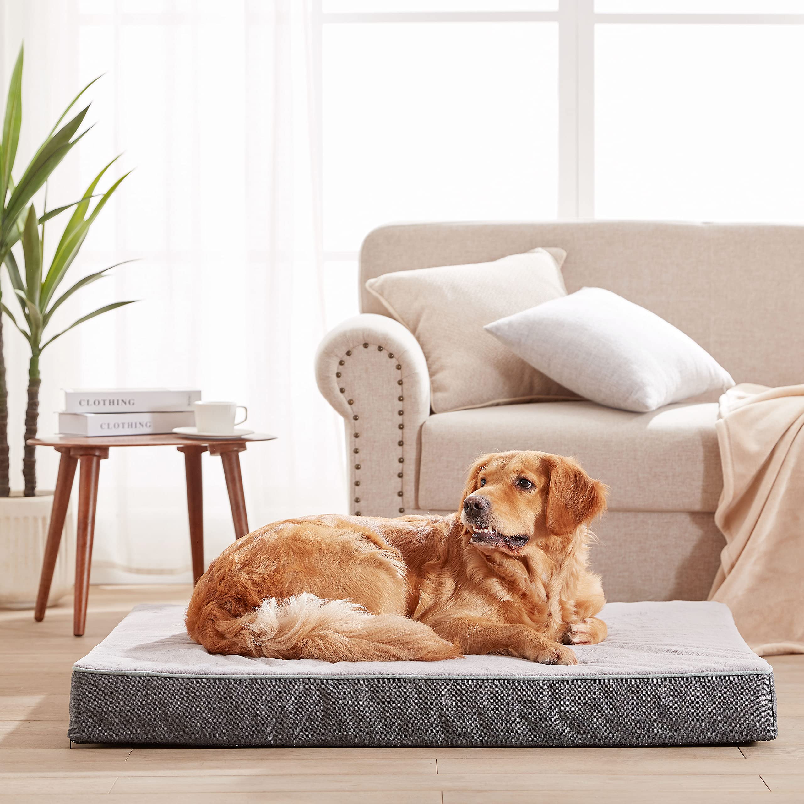 URGVANZ PET cama para perro con funda de felpa suave y cómoda.