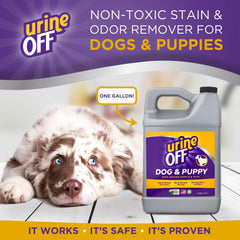 Urine OFF aplicación-en-superficies: rocía de forma uniforme en áreas afectadas.